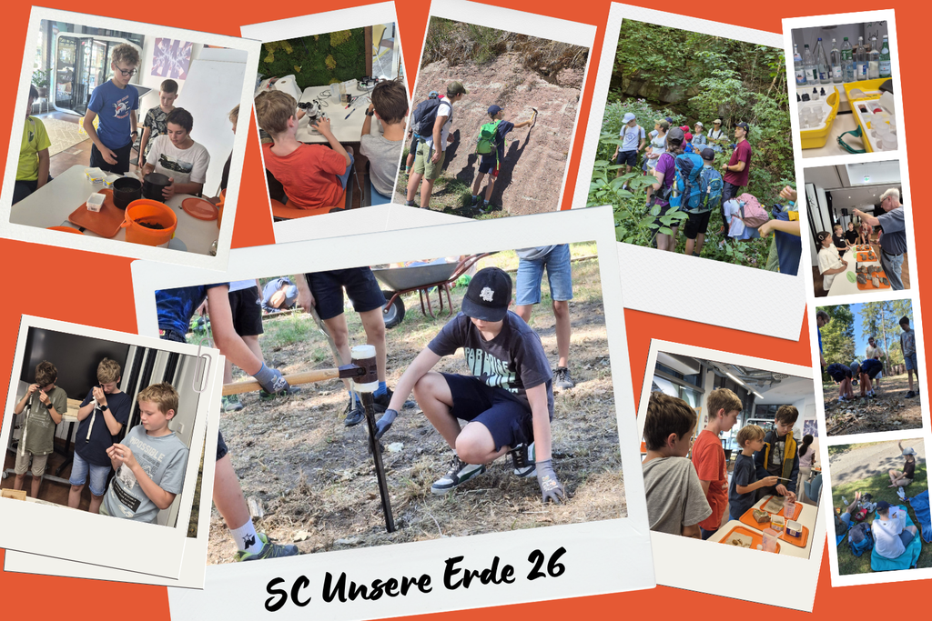 Collage of children participating in diverse scientific and nature-based educational activities.